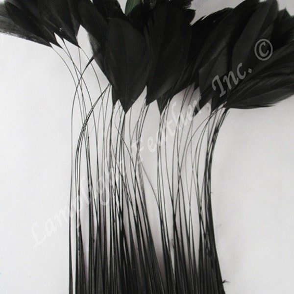 Black Stripped Coque Millinery Feathers Pack of 25