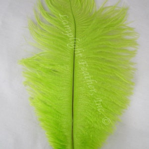 Lime Ostrich Feathers 12-16 inch per EACH