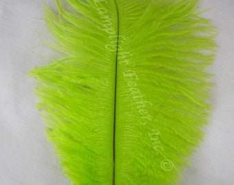 Lime #2 Ostrich Feather 16-20 inch Long per Three (3)