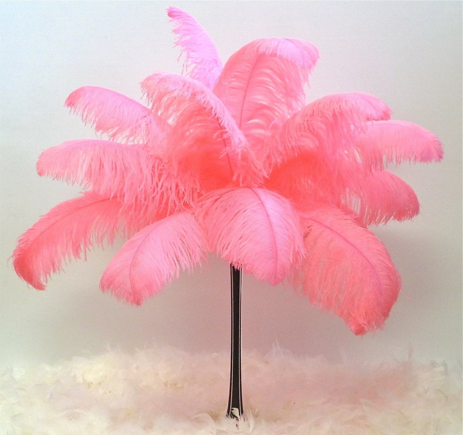 Candy Pink Ostrich Feather 16-20 Inches per Each | Etsy