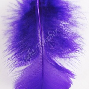 Purple Craft Feathers Turkey Plumage per one ounce package