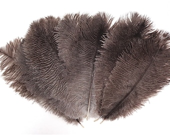 Natural Mini Ostrich Feathers 5-8 Inch per 24