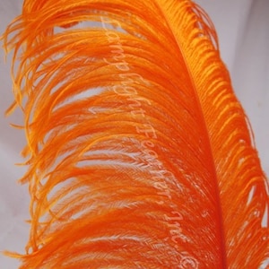 Orange Ostrich Feather Plume Premium 18-24+ inch per Each