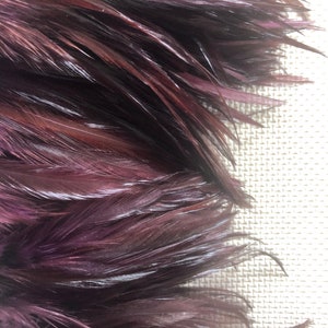 Wine Feather Trim Rooster Hackle  per Five (5) Yards
