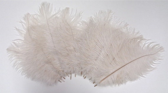 White Ostrich Feather 8-12 Inch Size per Each | Etsy