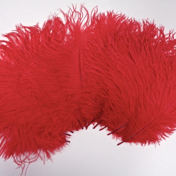 Red Ostrich Feather 8-12 inch size per SIX (6)