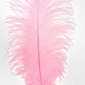 Light Pink Ostrich Feathers 12-16 inch per EACH