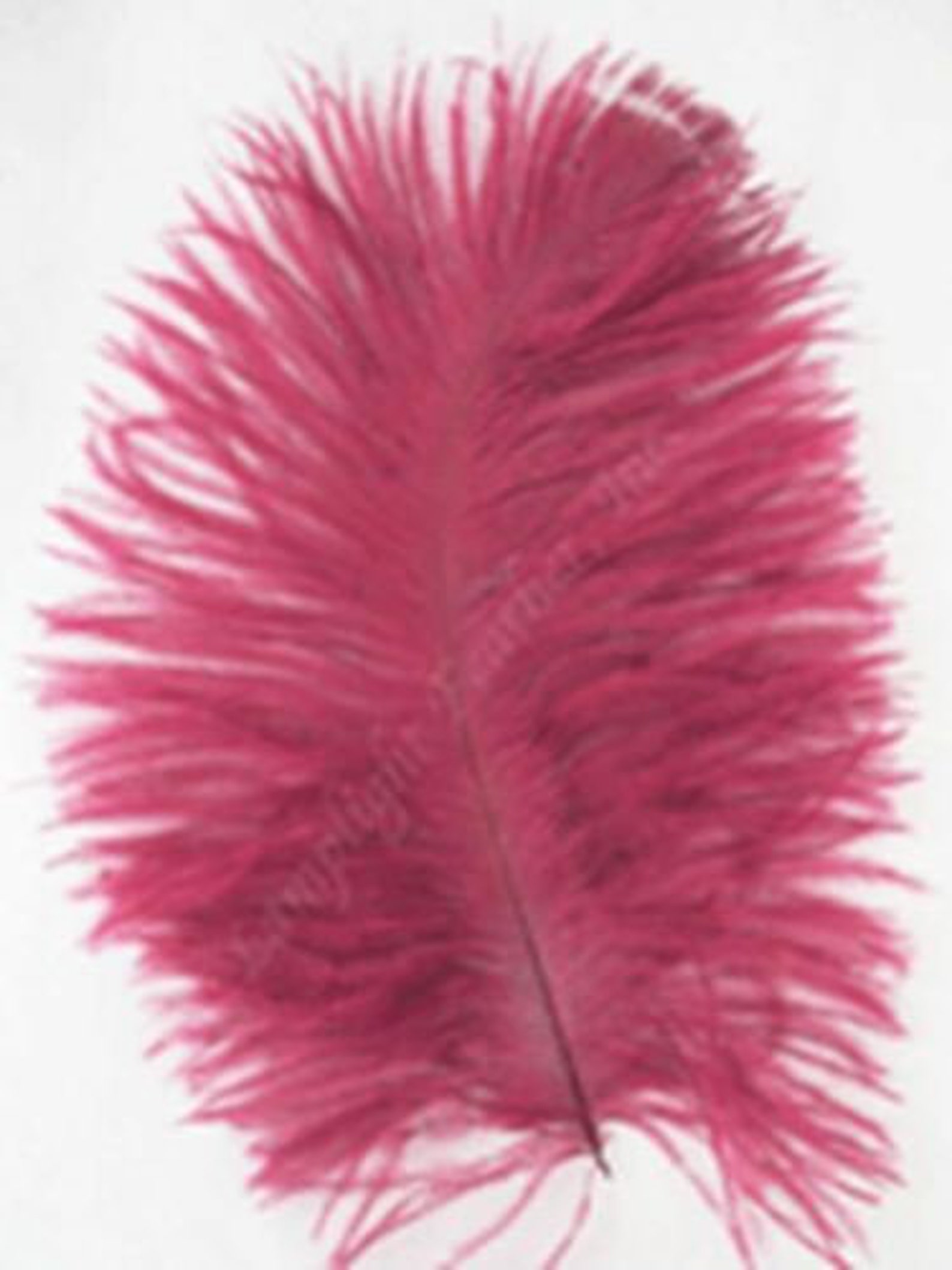 Burgundy Mini Ostrich Feathers 58 Inch per 25 Etsy