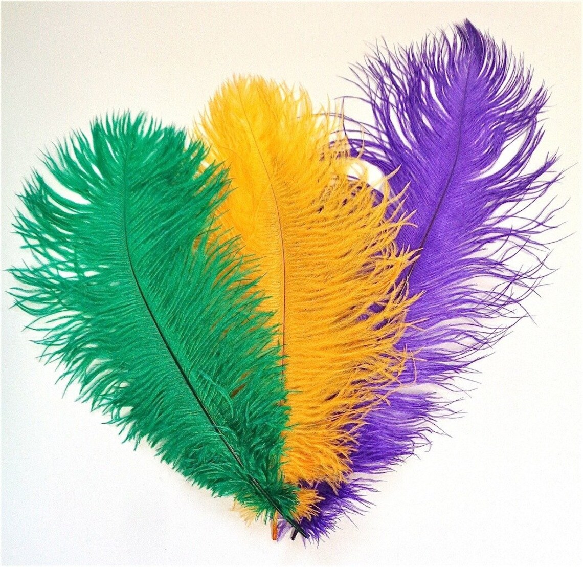 mardi gras ostrich feathers