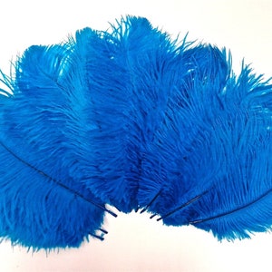 Turquoise Ostrich Feather 8-12 inch size per SIX (6)