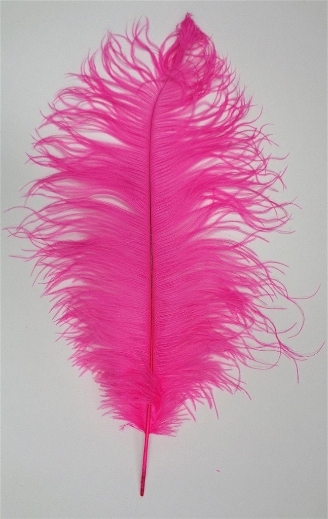 1/2 Lb. - 19-24 Hot Pink Ostrich Extra Long Drab Wholesale Feathers (Bulk)