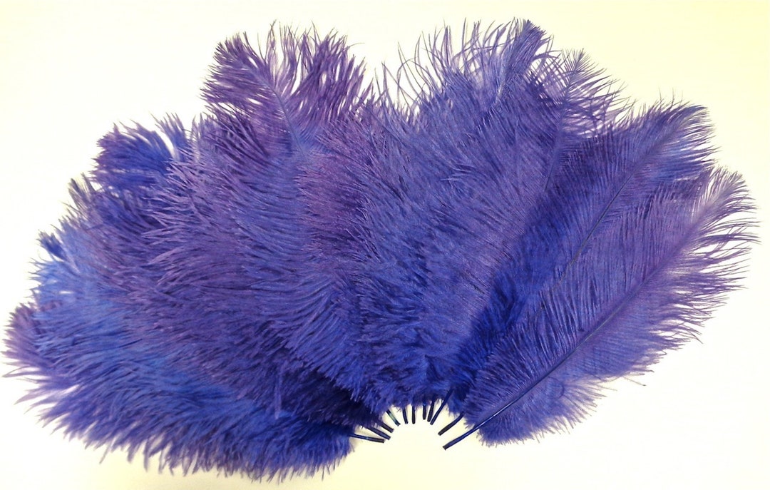 Ostrich Feathers 6 Inch Strip Purple Ostrich Fringe Trim 
