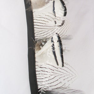 Natural Feather Trim Black and White Mix per yard
