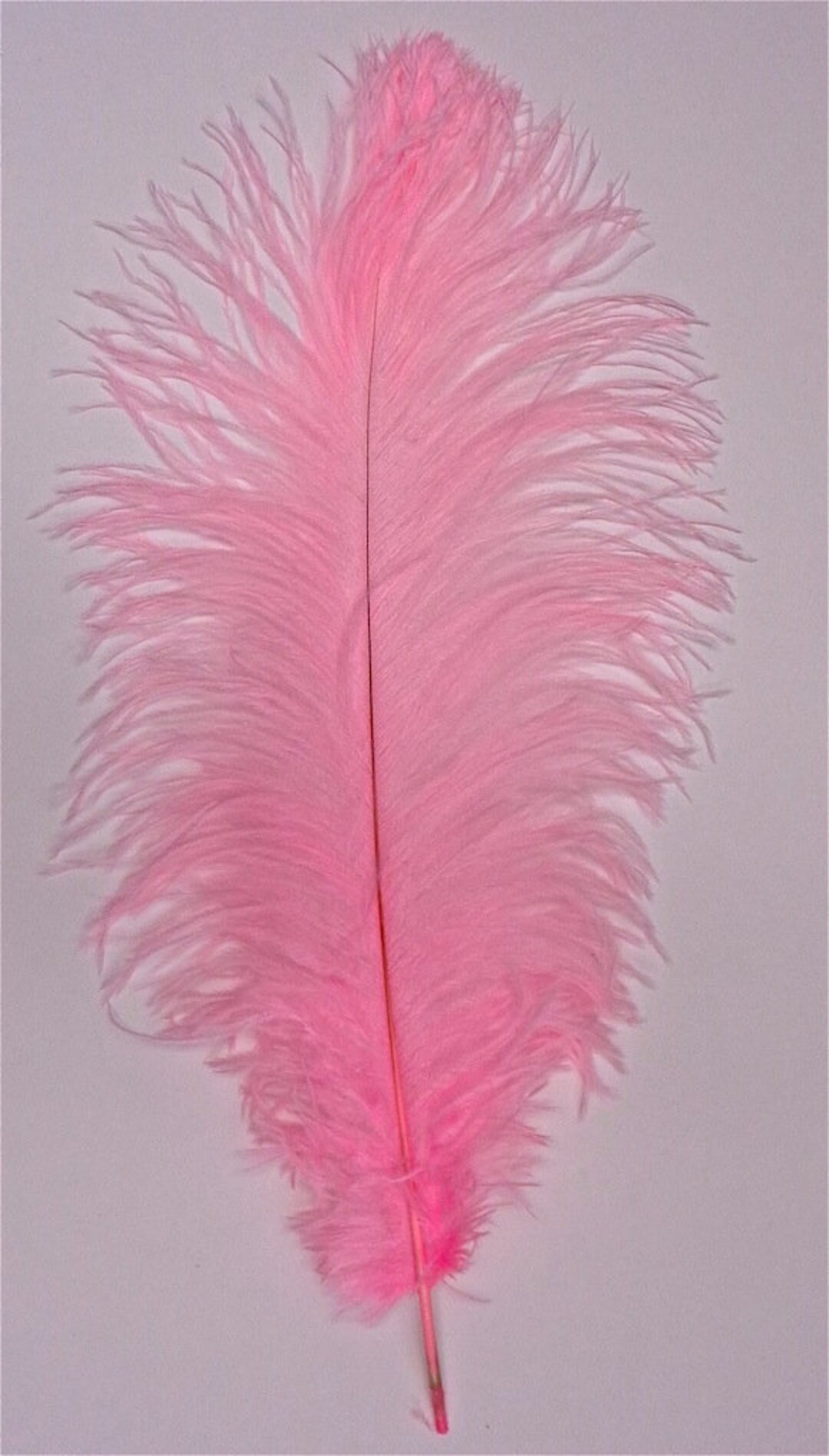 Candy Pink Ostrich Feather 16-20 Inches per Each - Etsy