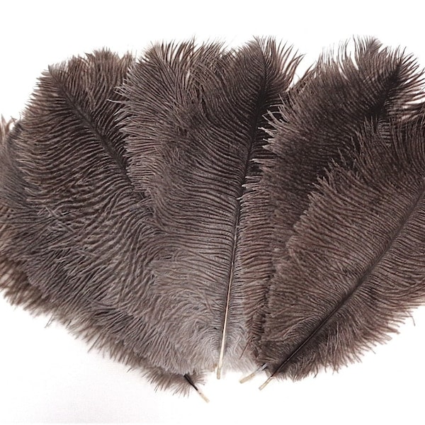 Natural Gray Ostrich Feather 8-10 inch size per SIX (6)