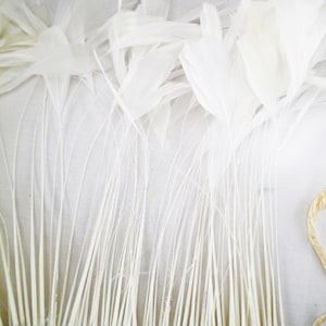 May include: A collection of white feathers with long, thin stems, arranged in a fan-like pattern. The feathers are attached to a beaded trim, suggesting a craft or decorative item. The background is a light, neutral color.