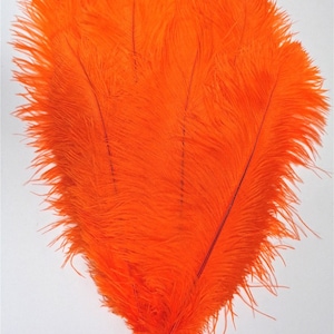 Orange Ostrich Feather 16-20 inch Long per Each