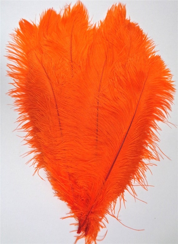 Orange Ostrich Feather 16 20 Inch Long per Each Etsy UK