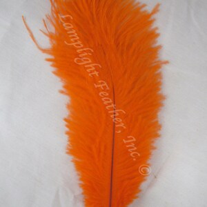 Natural Gray Ostrich Feather 8-10 inch size per SIX (6)