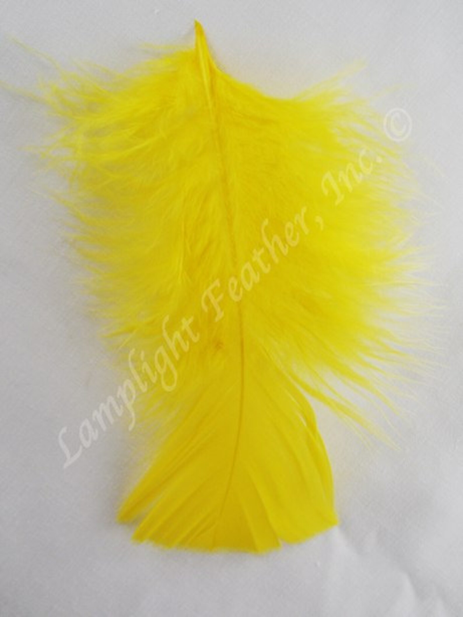 Yellow Craft Feathers Turkey Plumage per One Ounce Package Etsy