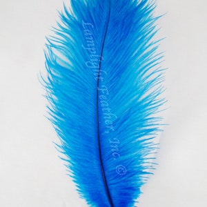 Turquoise Ostrich Feathers 12-16 inch long per each