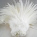 Rooster Feathers Saddle SELECT Color 3-5" per strung FOOT (30cm) (about 200 feathers)
