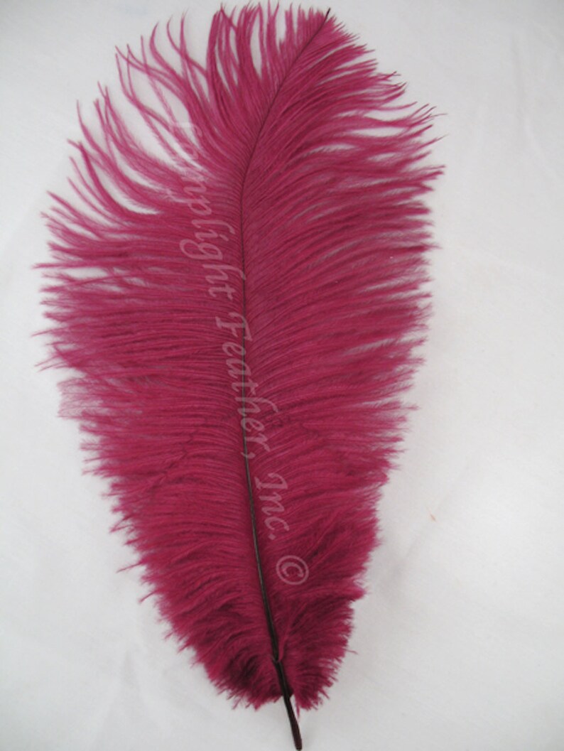Burgundy Ostrich Feathers 1216 Inch per EACH Etsy