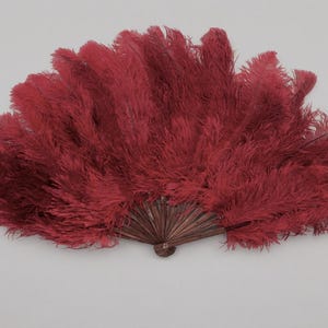 May include: A decorative fan with a rich burgundy color. The fan is made of numerous feathers, fanning out from a central, wooden-looking base. The feathers are dense and create a full, textured appearance.