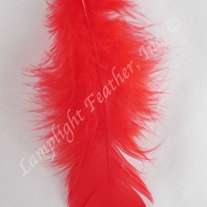 Red Craft Feathers Turkey Plumage per one ounce package