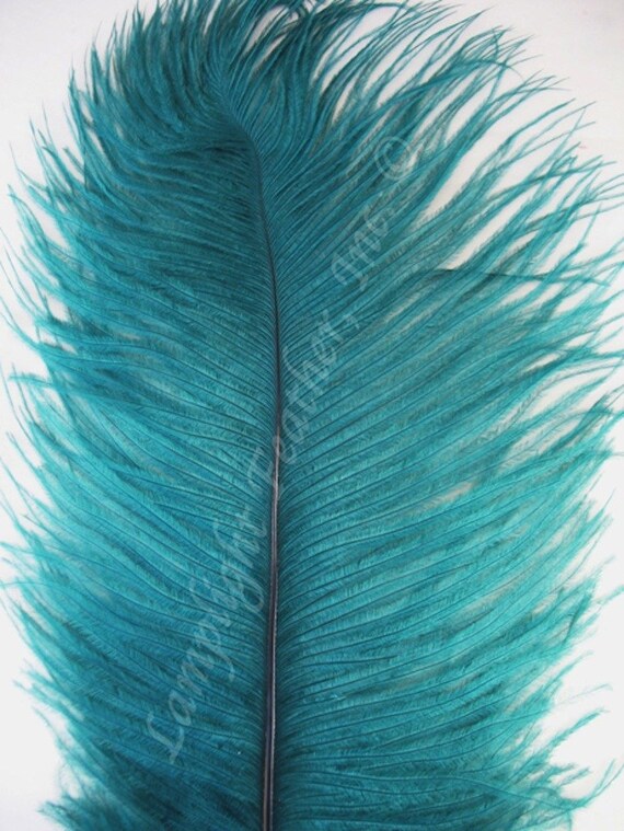 teal ostrich feathers