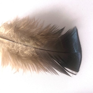 Natural Turkey Craft Feathers Plumage per ounce