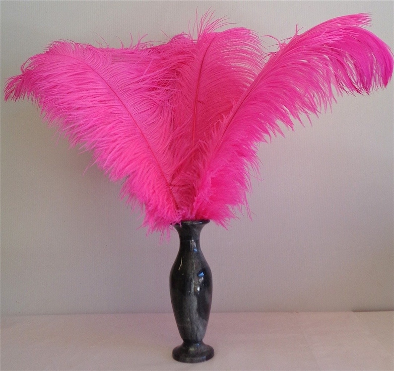 Fuchsia Hot Pink Ostrich Feather 16-20 Inch Long per Each | Etsy