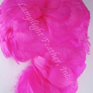 Hawaiian Feather Lei Coquilles Fuchsia Hot Pink Strung per Ounce