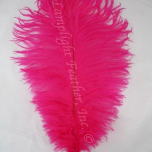 Fuchsia Hot Pink 2 Grade Ostrich Feather 16-20 Inch Long per Three 3 - Etsy