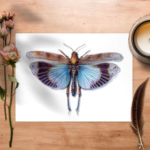 Blue Grasshopper Art Print, Insect Poster