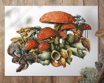 Mushrooms Art Print, une forêt de champignons fantaisiste pour la crèche ou la chambre fantastique pour enfants
