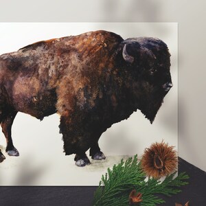 Bison Art Print, Buffalo Poster