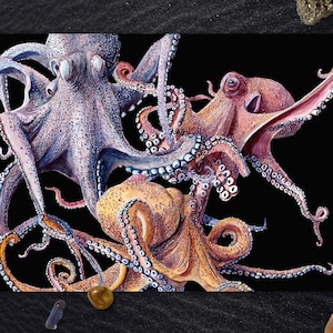 Three Octopus Art Print, Ocean Poster