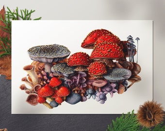 Mushroom Art Print, Nature Painting, Watercolor Artwork
