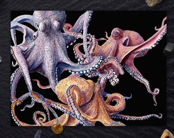 タコ（Octopus Vulgaris）ジクレー版画、A4、A3、またはA2 - 水中壁画
