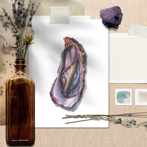 Könnte beinhalten: Aquarellmalerei einer Austernschale in Lila-, Gold- und Brauntönen. Das Kunstwerk befindet sich auf weißem Papier, das auf einer beigefarbenen Oberfläche befestigt ist. Eine braune Glasflasche mit getrockneten Blumen und ein violetter Kristall sind ebenfalls im Bild.