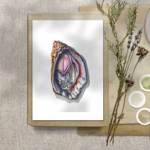 Könnte beinhalten: Ein Aquarellbild einer Austernschalen mit einem perlmuttartigen Inneren. Die Schale ist in Braun-, Lila- und Grüntönen bemalt, mit einem Hauch von Rosa in der Mitte. Das Bild ist auf weißem Hintergrund.