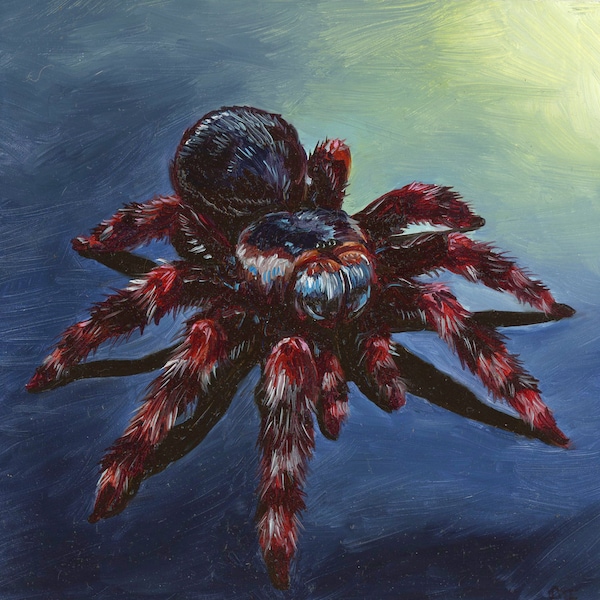 Spider Lover's Delight: Miniature Tarantula Oil Painting