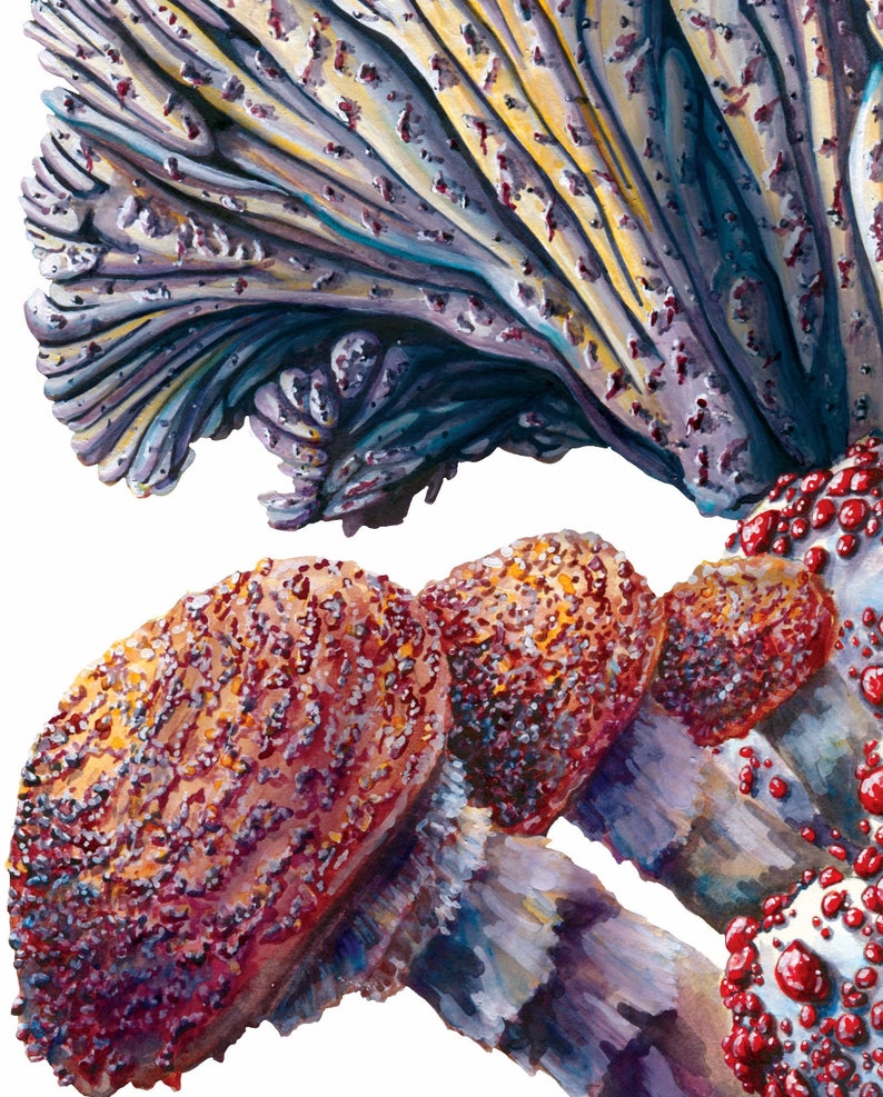 Mushroom Art and the Last of Us Fan Gift Etsy