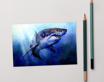 Great White Standard Postcard