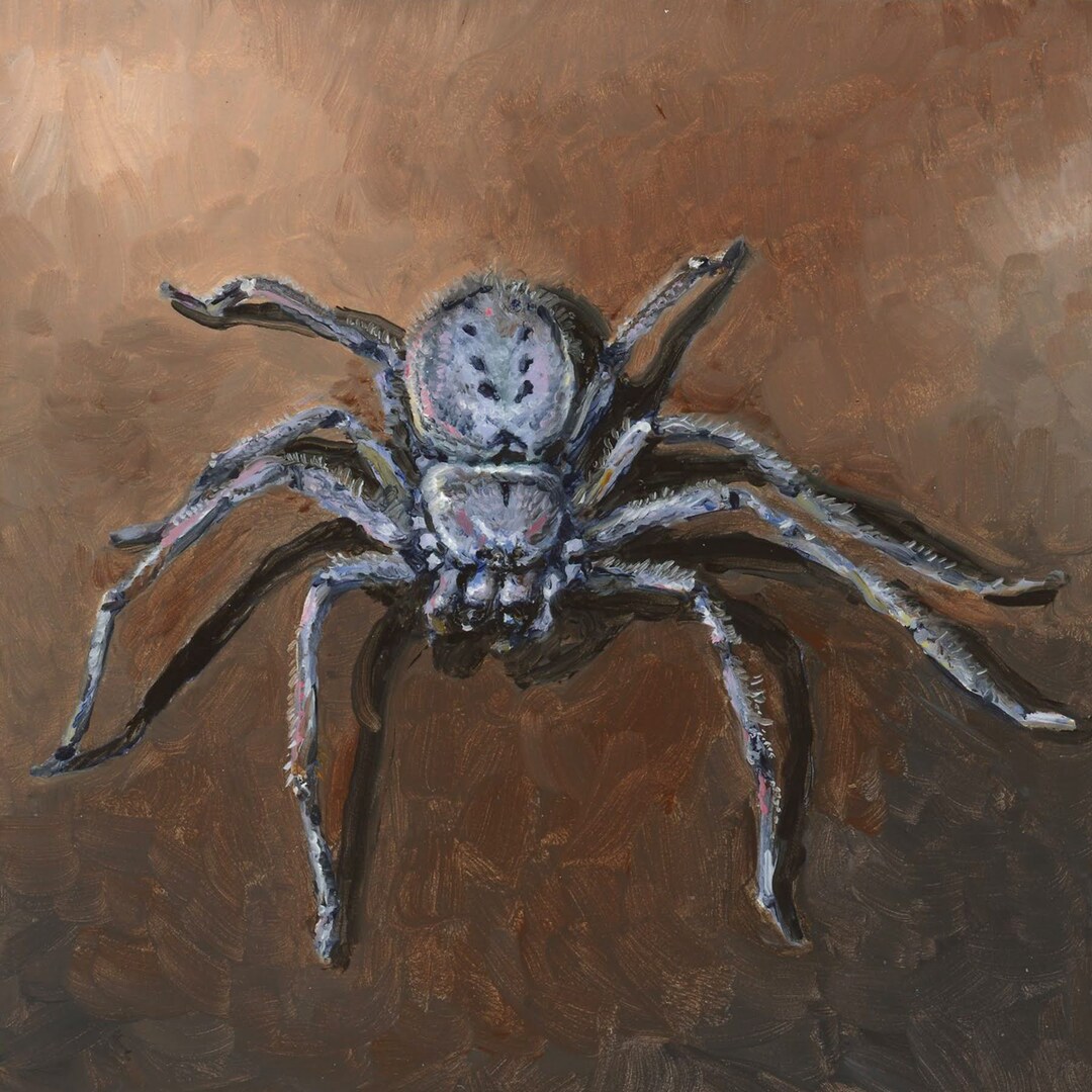 Arachnid Elegance Miniature Spider Oil Painting Etsy