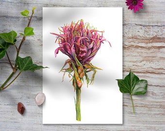 Stunning Watercolor Print of Australian Gymea Lily – Botanical Art