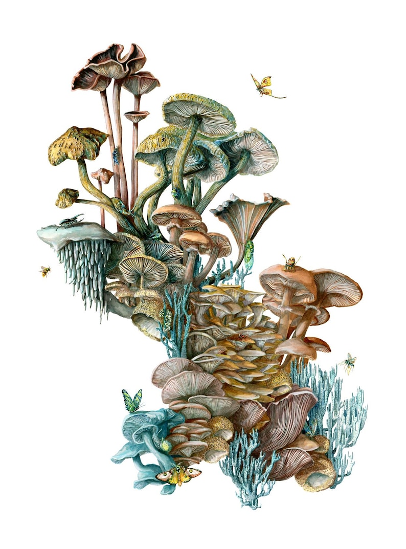 The Last of Us A Mushroom World Art Print and Fungi Gift Etsy