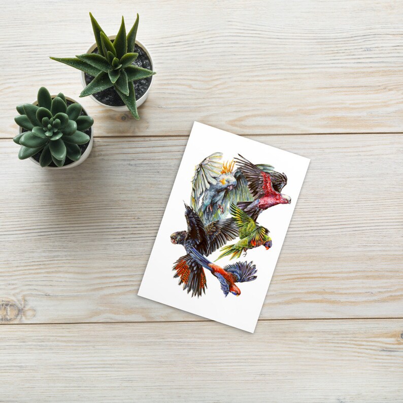 Australian Birds Standard Postcard