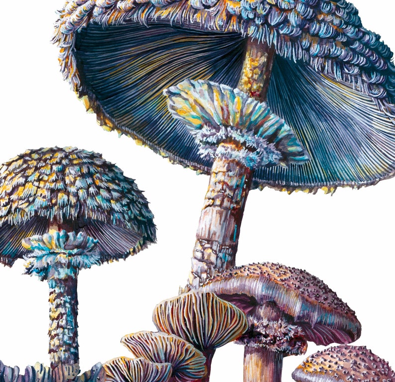 Mushroom Art and the Last of Us Fan Gift Etsy